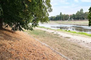 Апарт-отель Апартаменты в историческом центре "ГАЛАГОВЪ". Апартаменты 6-местный на 1 этаже (4/2) 13