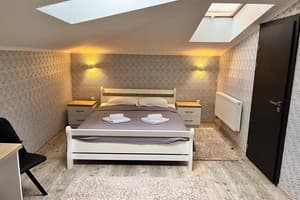 Апарт-отель Апартаменты в историческом центре "ГАЛАГОВЪ". Делюкс двухместный (21В)  1