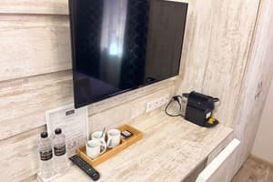 Апарт-отель Апартаменты в историческом центре "ГАЛАГОВЪ". Делюкс трехместный (2А)  3