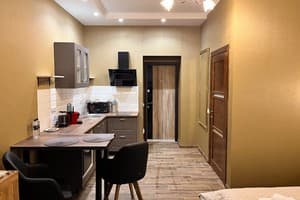 Апарт-отель Апартаменты в историческом центре "ГАЛАГОВЪ". Студио двухместный  4