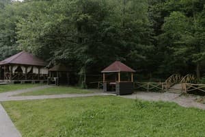 Богольвар 11