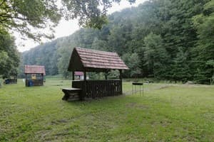 Богольвар 9