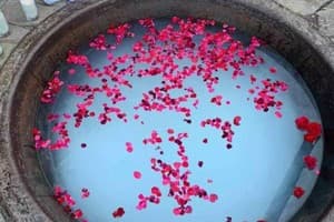 Богольвар 23