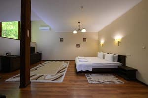 Отель Богольвар. Делюкс двухместный премиум 1