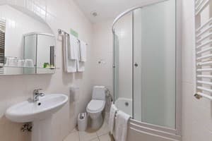 Отель Богольвар. Классик двухместный мансарда 9