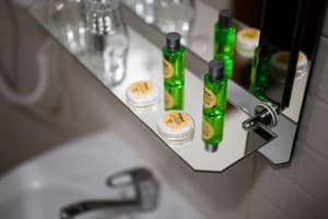 Отель Богольвар. Люкс двухместный семейный (трехкомнатный) 11