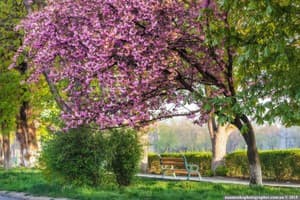 City Hostel Panorama  7