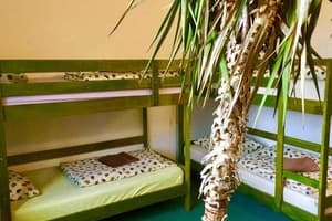 Рекреационный комплекс DUBKY. Стандарт 4-местный Wood молодежный корпус Б 3