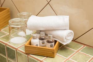 Апарт-отель Деренівська Купіль. Апартаменты двухместный Apartament 5