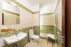 Апарт-отель Деренівська Купіль. Апартаменты двухместный Apartament 6