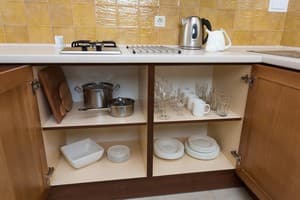 Апарт-отель Деренівська Купіль. Апартаменты двухместный Studio Apartament 2