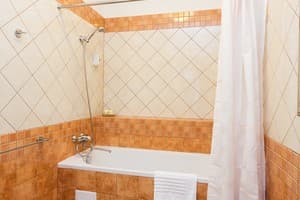 Апарт-отель Деренівська Купіль. Студио двухместный Studio Plus Apartament 5