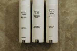 Отель Эдуард. Люкс двухместный  5