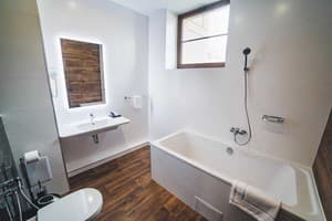 Отель Ірис. Люкс двухместный  3