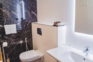 Отель Ірис. Семейный 4-местный Family 2