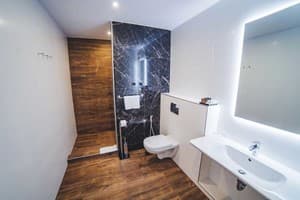 Отель Ірис. Семейный 4-местный Family 6