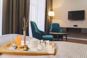 Отель Ірис. Стандарт двухместный dooble 2