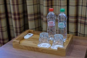 Отель Ірис. Стандарт двухместный dooble 3