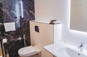 Отель Ірис. Стандарт двухместный twin superior 2