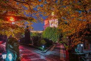 Kamelot Hotel Resort & SPA 14