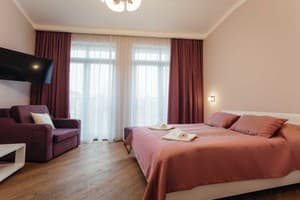 Отель Nicole. Полулюкс трехместный двухкомнатный 2