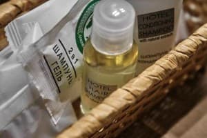 Отель Ужгород. Люкс двухместный с балконом 11