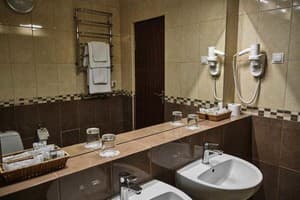 Отель Ужгород. Люкс двухместный с балконом 7