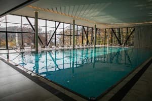 Verkhovyna Resort Medical & Wellness 4