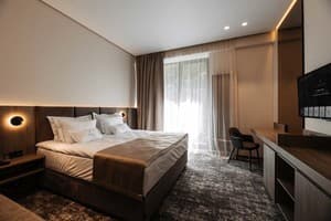 Санаторий Verkhovyna Resort Medical & Wellness. Стандарт двухместный  1