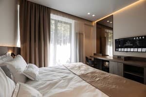 Санаторий Verkhovyna Resort Medical & Wellness. Стандарт двухместный  2