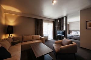 Санаторий Verkhovyna Resort Medical & Wellness. Супериор двухместный  3